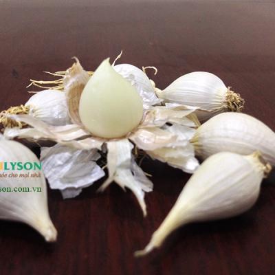 Đây là lý do vì sao tỏi cô đơn Lý Sơn lại mắc đến vậy?